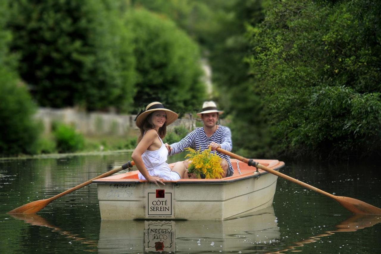 Cote-Serein La Privilege De La Tour Madame Noyers-sur-Serein Luaran gambar