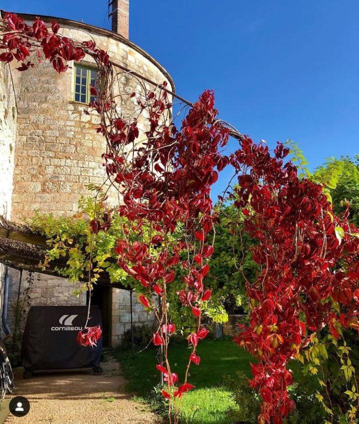 Cote-Serein La Privilege De La Tour Madame Noyers-sur-Serein Luaran gambar